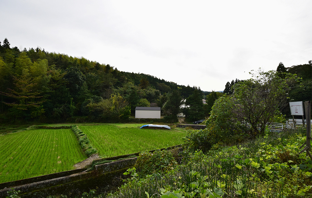 物置,小屋,倉庫