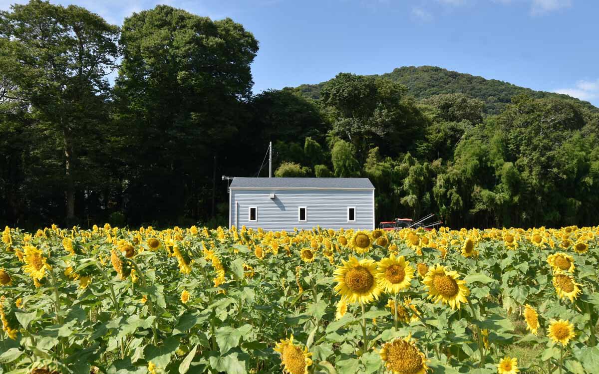 木の質感を生かした木造ガレージG-BB写真