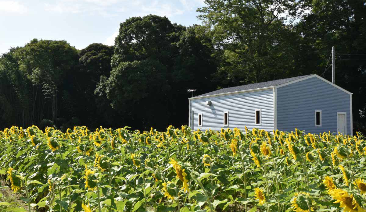 木の質感を生かした木造ガレージG-BB写真